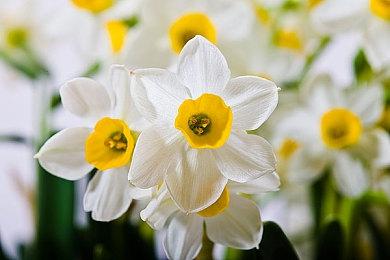 IO Interactive一心开发007游戏 拒绝多个IP合作提议